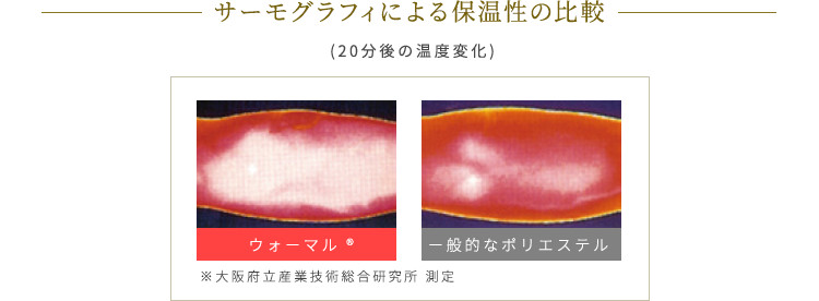 家庭用電位・温熱治療器リムーン
