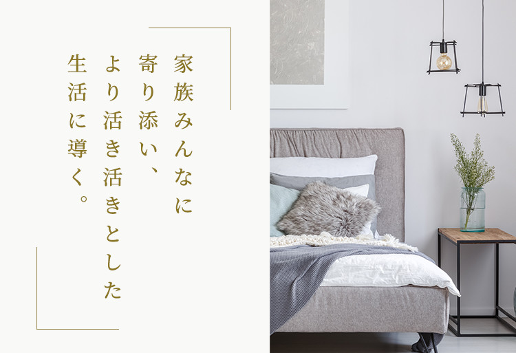 家庭用電位・温熱治療器リムーン